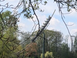 Bellewaerde Park Review ()