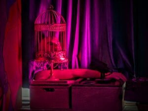 PaniQ Room NYC Pirates of the Bermuda Triangle Review ()