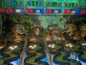 FairGame City Review ()