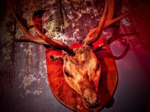 After Dark House of Frankenstein Review ()