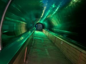 Colchester Zoo Trail of Terror Review ()