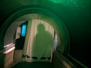 Colchester Zoo Trail of Terror Review ()