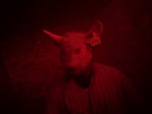 Fairground Frights Review ()