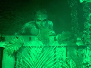 Fairground Frights Review ()