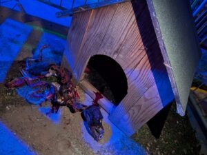Fear Island The Infernal Rising Review ()