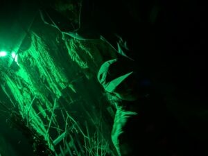Fear Island The Infernal Rising Review ()
