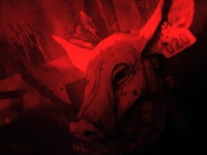 Fear Island The Infernal Rising Review ()