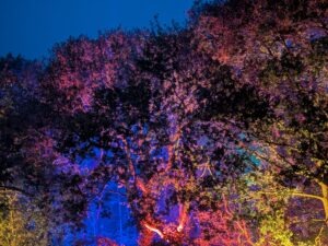 Goostrey Graveyards Scare Park Review ()