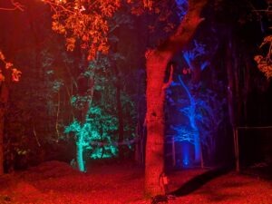 Goostrey Graveyards Scare Park Review ()