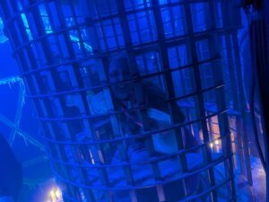 Halloween Haunt Fest Review ()