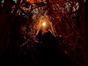 Halloween Haunt Fest Review ()