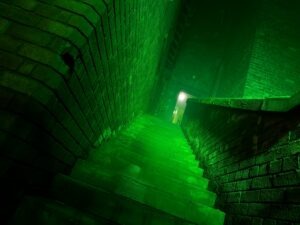 Newsham Scream Park Review ()