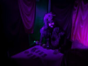 Newsham Scream Park Review ()