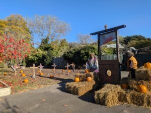 Pleasurewood Chills Review ()