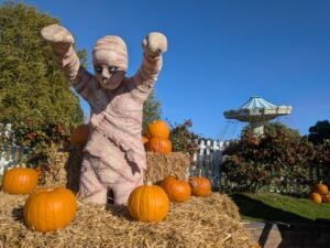 Pleasurewood Chills Review ()