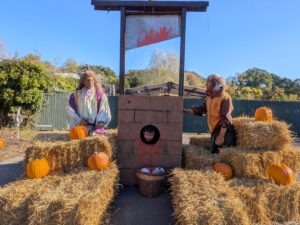 Pleasurewood Chills Review ()