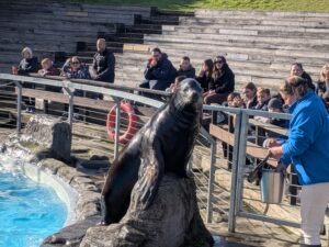 Pleasurewood Chills Review ()