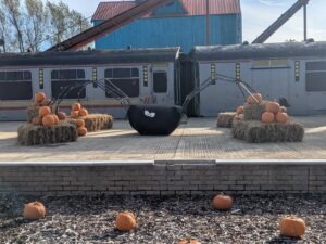 Pleasurewood Chills Review ()