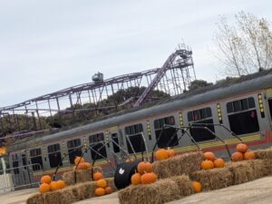 Pleasurewood Chills Review ()
