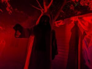 SCREAMS Review ()