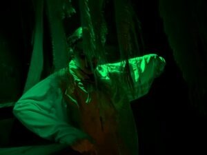 SCREAMS Review ()
