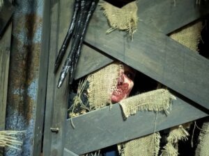 SCREAMS Review ()