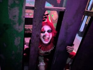 SCREAMS Review ()