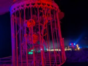 SCREAMS Review ()