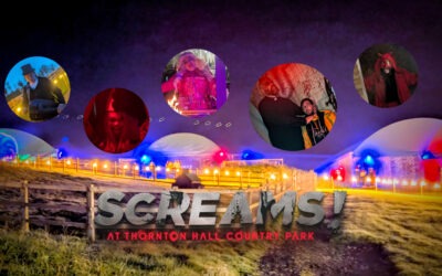 SCREAMS! 2025 Reviews