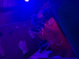 Scare City Review ()