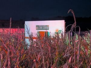 Screamfest Burton Review ()