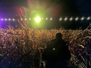 Statfold Scream Park Review ()