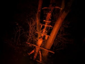 Statfold Scream Park Review ()