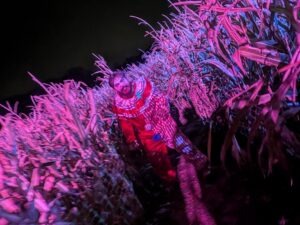 Statfold Scream Park Review ()