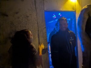 The Howl Review ()