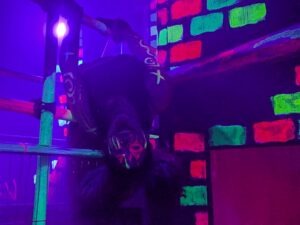 The Howl Review ()
