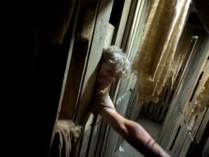 The Howl Review ()