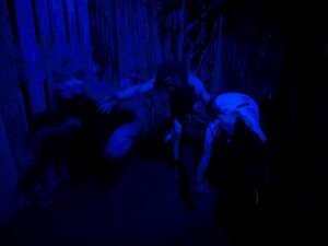 The Howl Review ()
