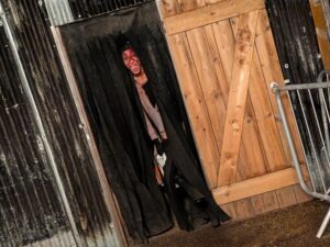 The Howl Review ()