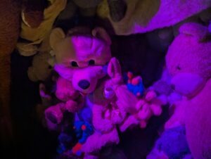 Thorpe Park Fright Nights Review ()