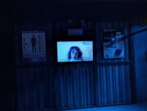 Thorpe Park Fright Nights Review ()
