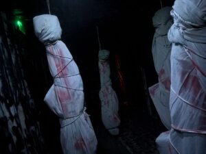 Tulleys Shocktoberfest Review ()