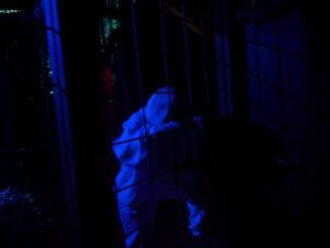 Tulleys Shocktoberfest Review ()