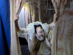 Tulleys Shocktoberfest Review ()