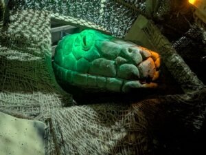 York Hallowscream Review ()