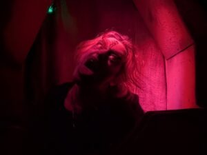 York Hallowscream Review ()