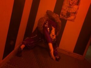 York Hallowscream Review ()