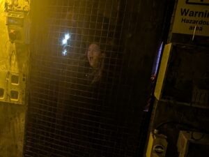 York Hallowscream Review ()