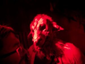 York Hallowscream Review ()