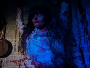 York Hallowscream Review ()